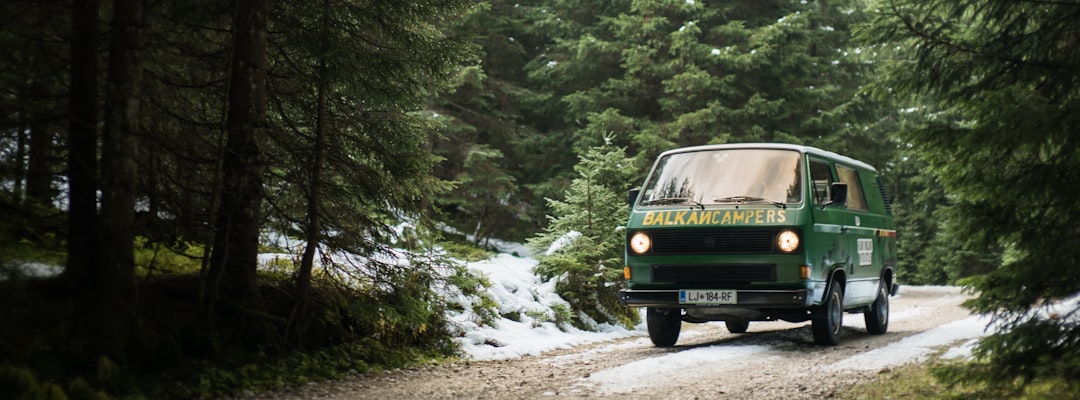 green van beside trees,