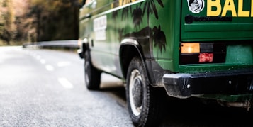 A green van with tropical palm tree graphics on its side is parked on an empty road. The rear of the vehicle shows a yellow print with a logo, and there is a clear view of the taillights. The background features a blurred landscape with trees, suggesting a scenic or natural location.
