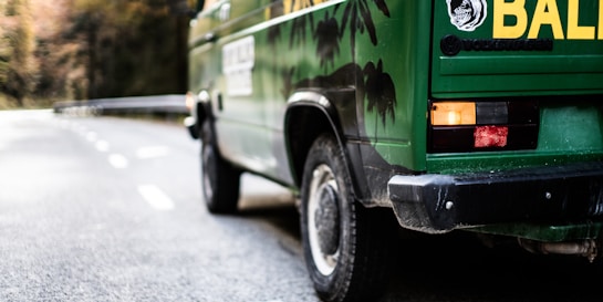 A green van with tropical palm tree graphics on its side is parked on an empty road. The rear of the vehicle shows a yellow print with a logo, and there is a clear view of the taillights. The background features a blurred landscape with trees, suggesting a scenic or natural location.