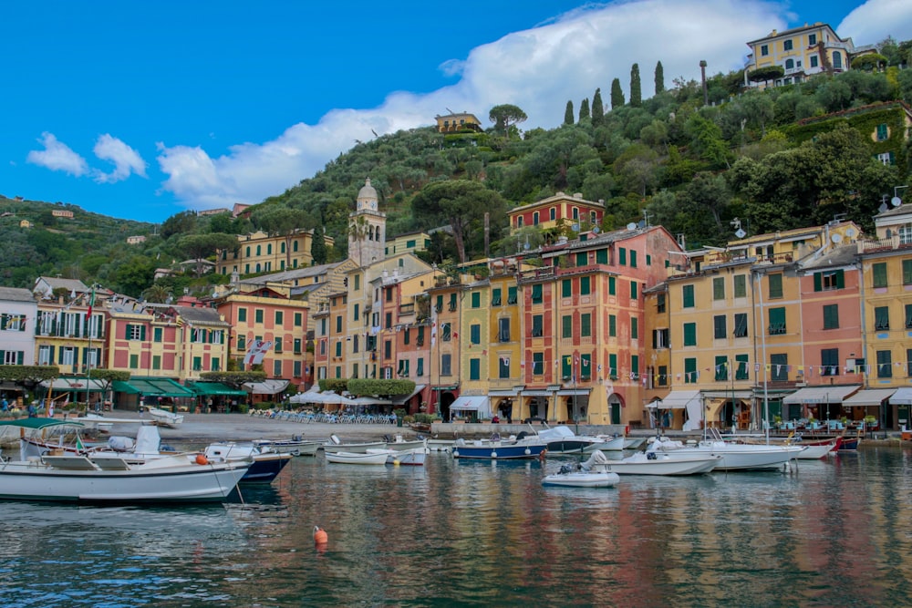 boats by shore beside buildings during daytime