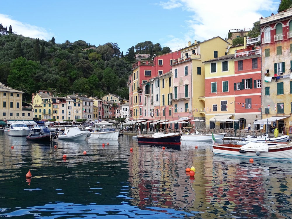 boat beside buildings at daytime