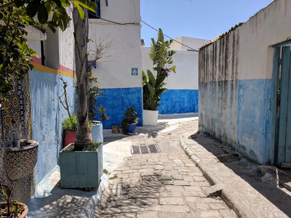 blue and white concrete building