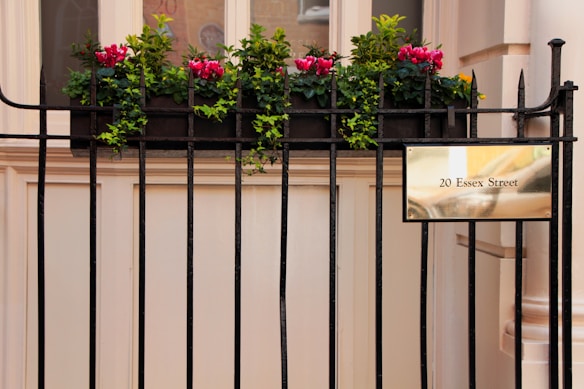 A metal fence with a rectangular brass plaque that reads '20 Essex Street' is set against a pale building. Bright red flowers and green foliage are seen in a planter box atop the fence, adding color and life to the scene.