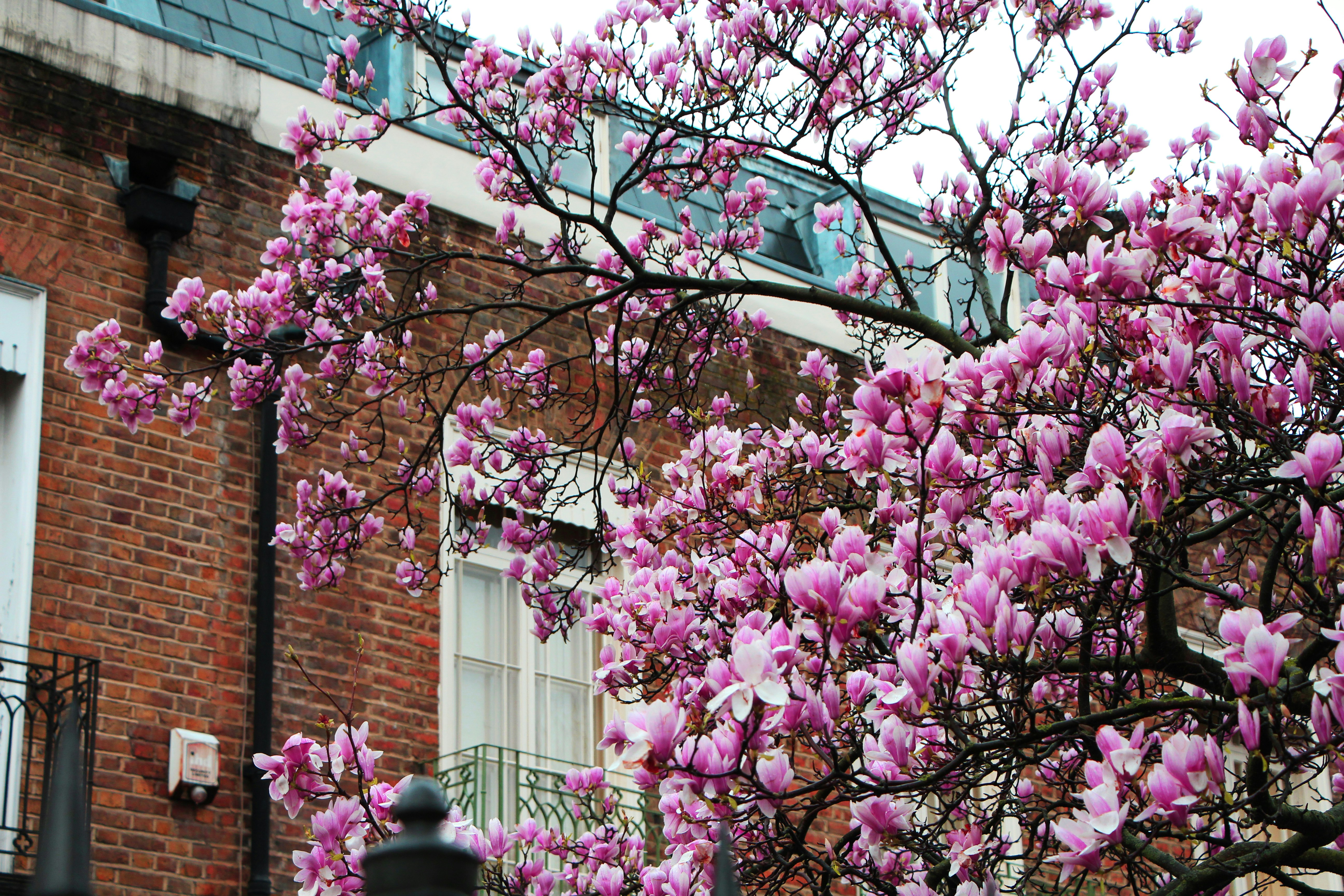 Photo by eleniafiontzi