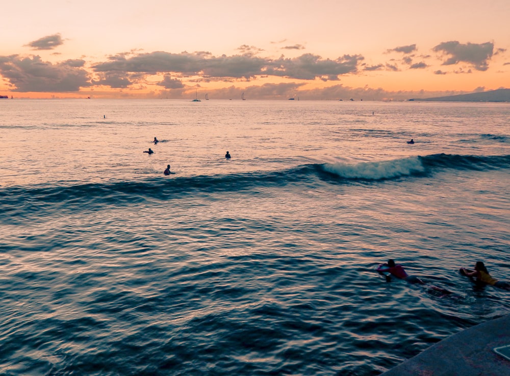 people swimming during golden hour