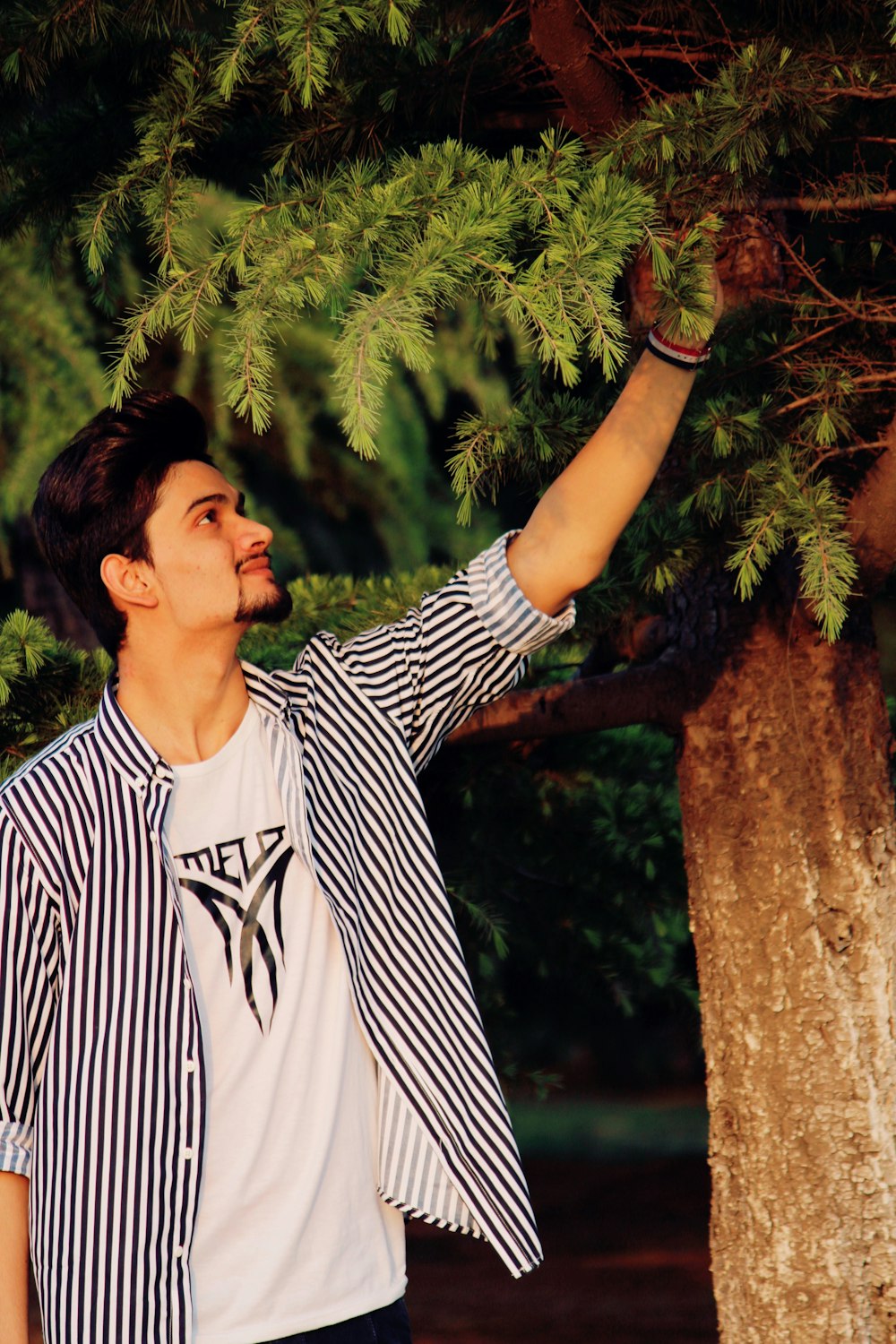 man in white crew-neck shirt holding tree branch