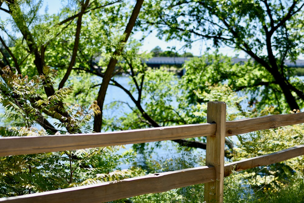 brown wooden rail by trees