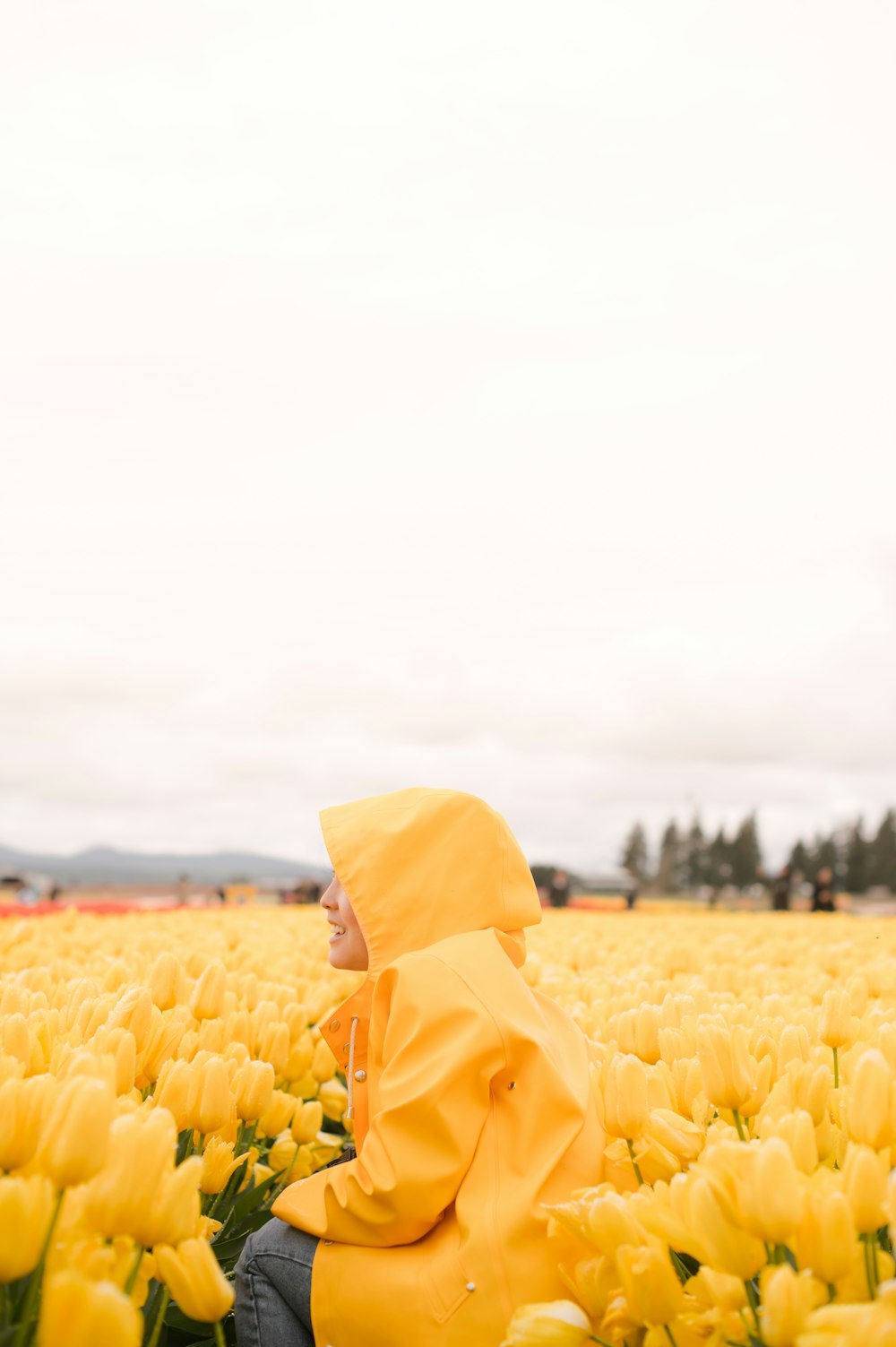 person in yellow raincoat standing on yellow tulip field