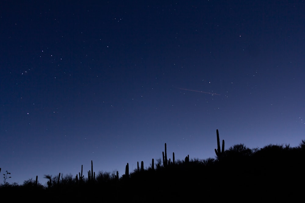 silhouette of hill at night