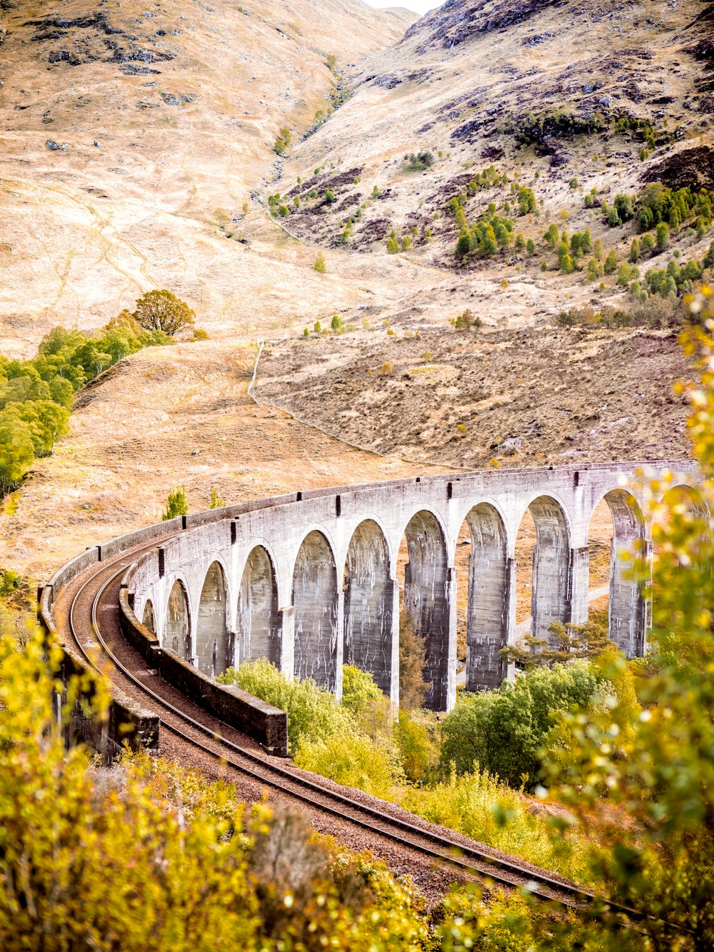 train tracks between grass and tree at daytime