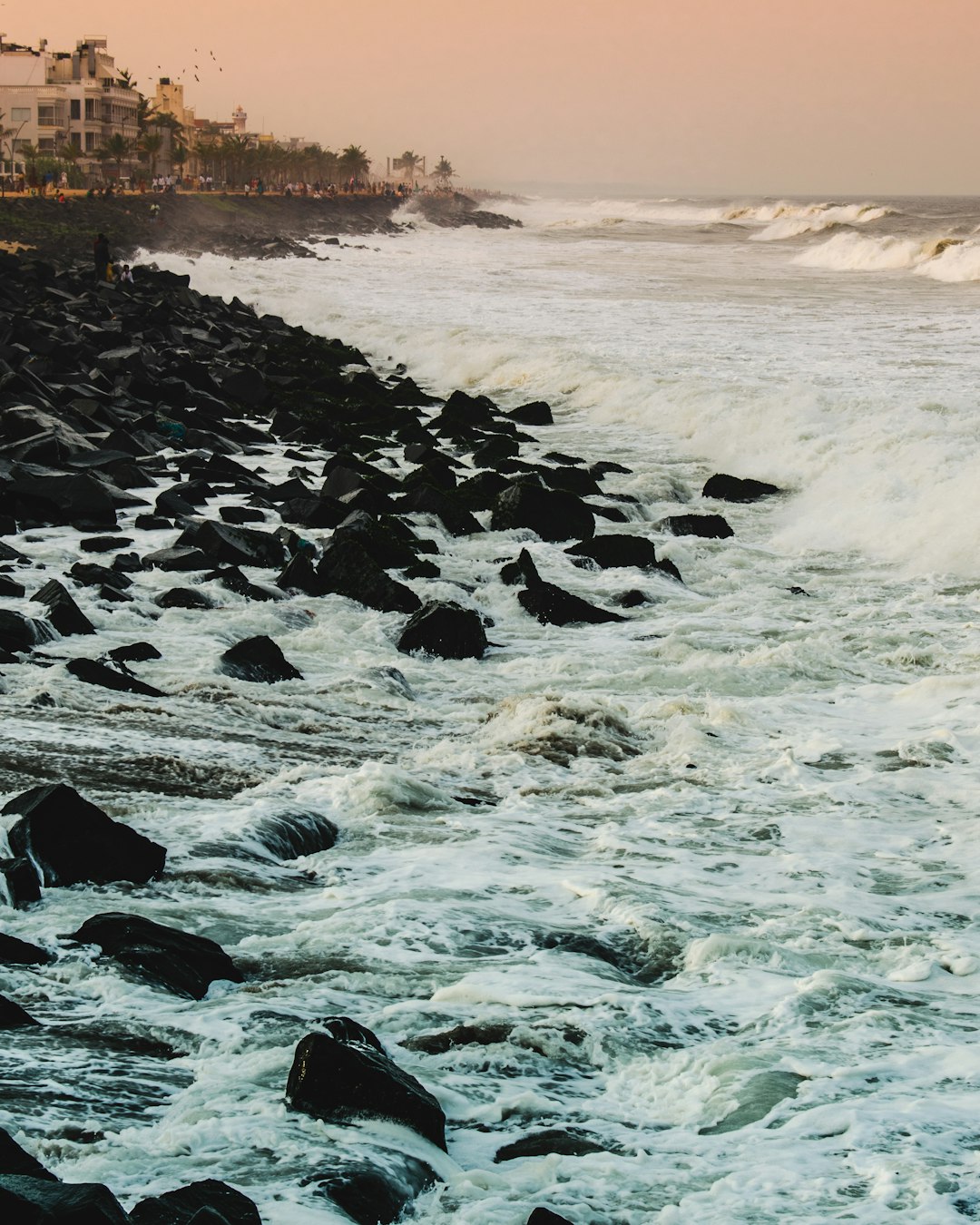 seashore during daytime