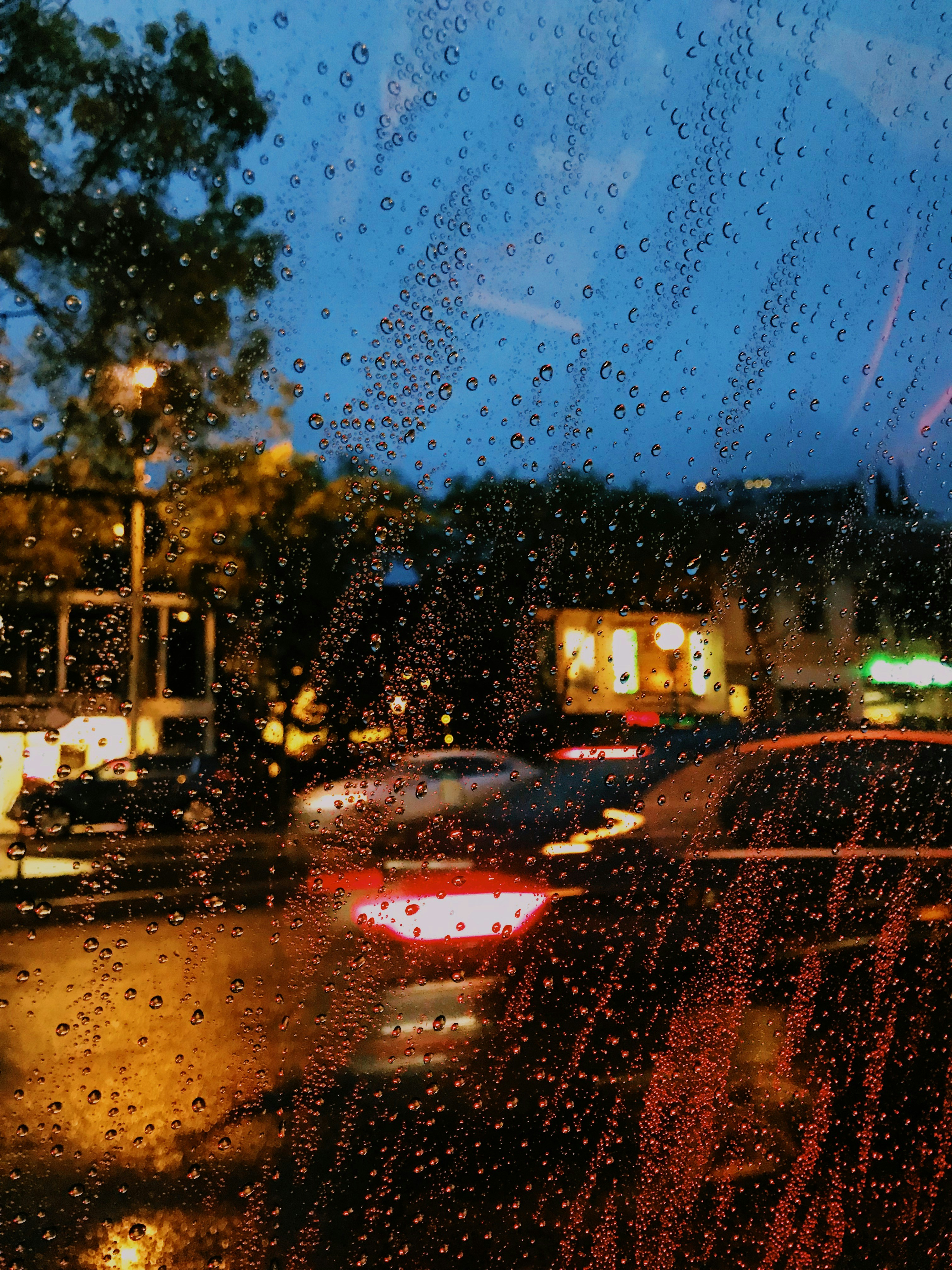 Photo by charlotablunarova