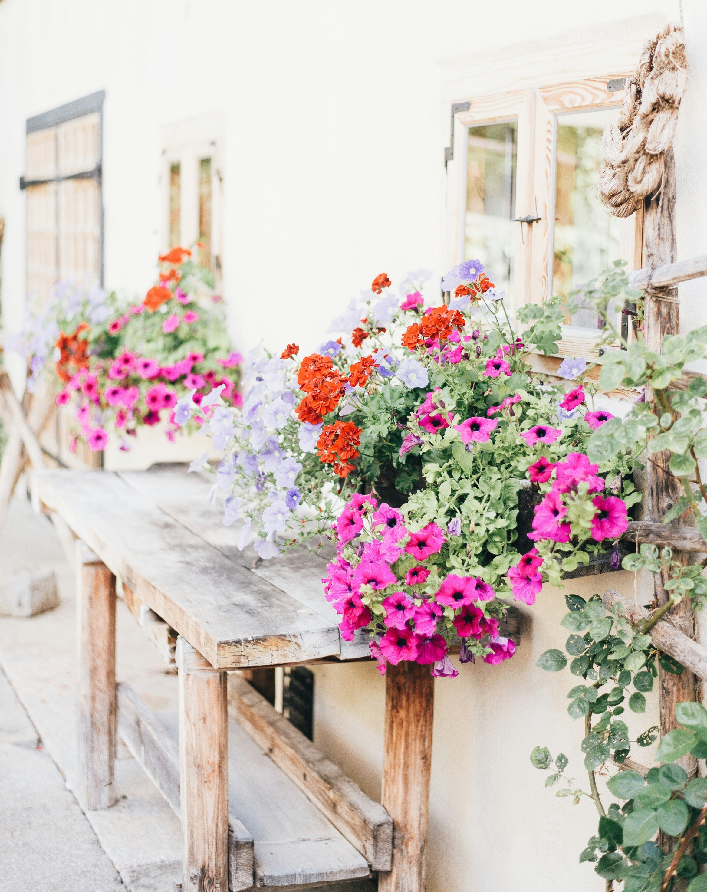 Photo by charlotablunarova