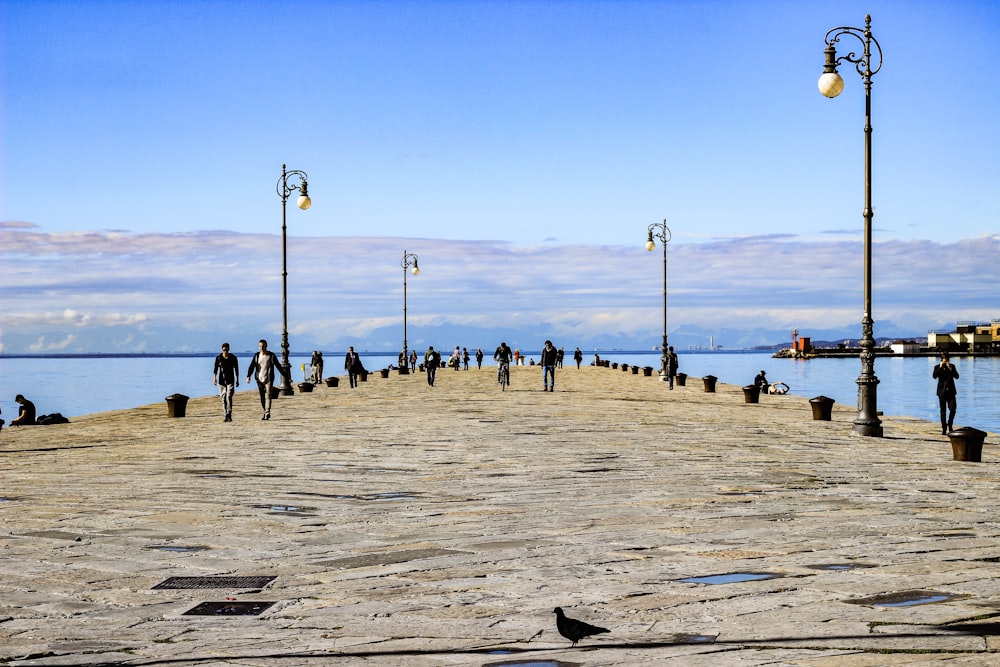 people standing on concrete dock