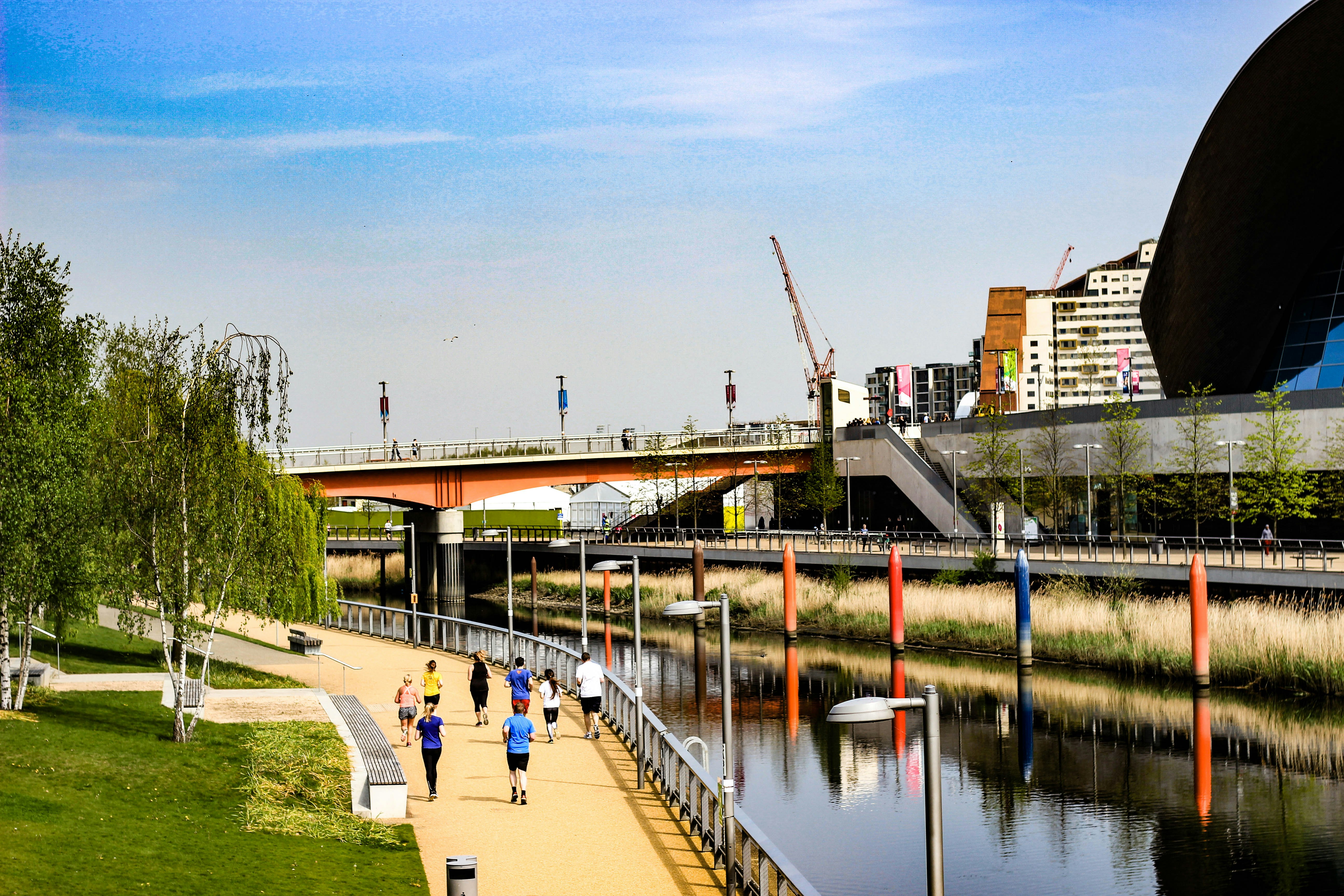 people walking on park