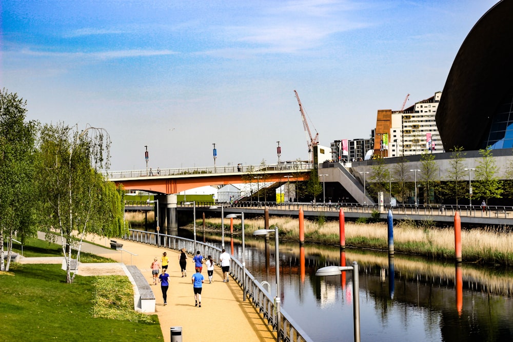 people walking on park