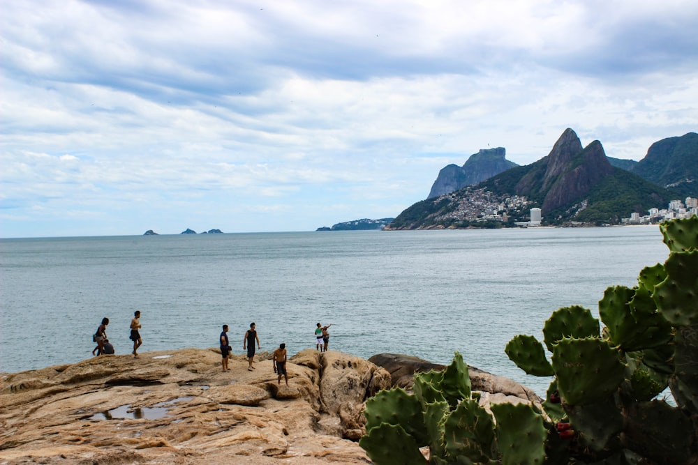 people on mountain near body of water