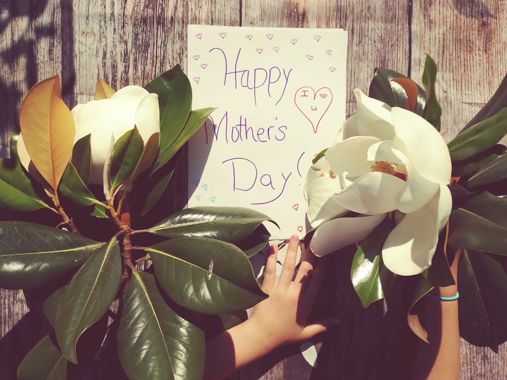 Persona cerca de la señalización y las plantas del feliz día de la madre