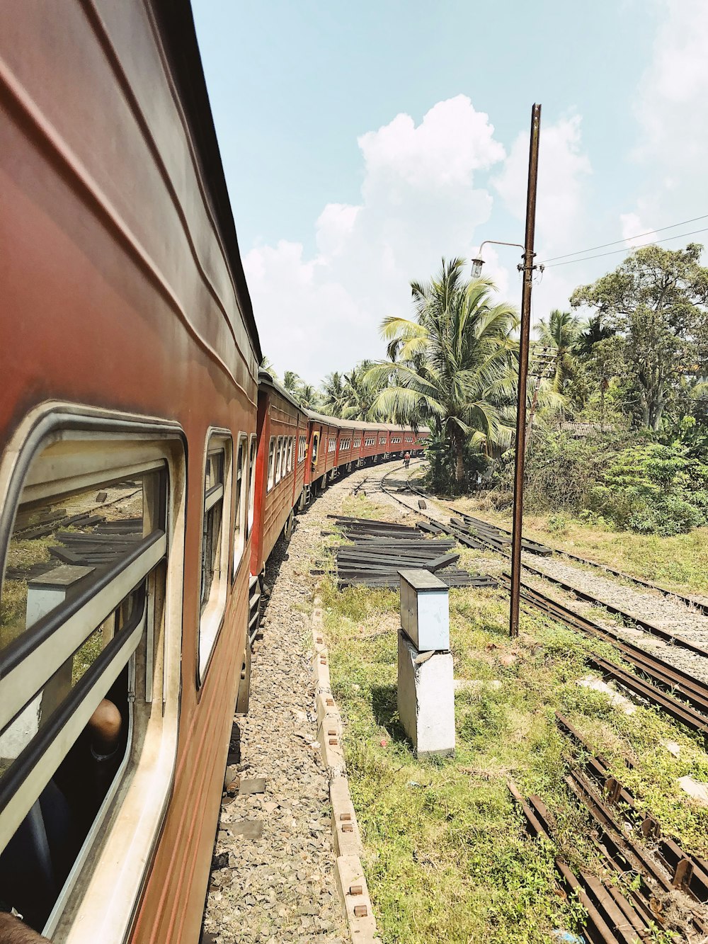 train near trees