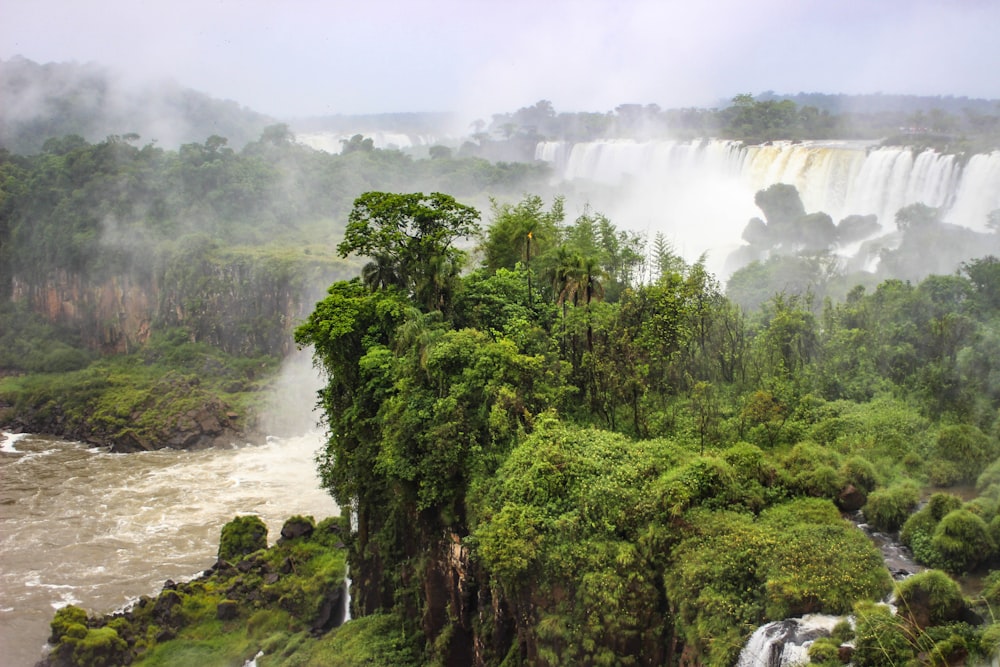 waterfalls lined with green trees