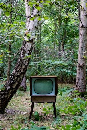 grey CRT monitor beside trees