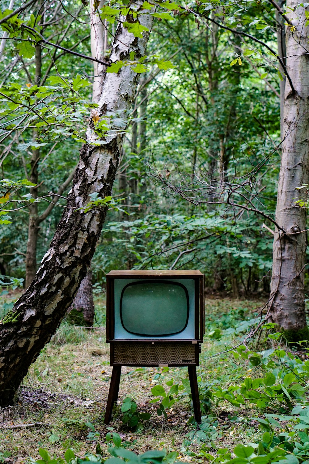 grey CRT monitor beside trees