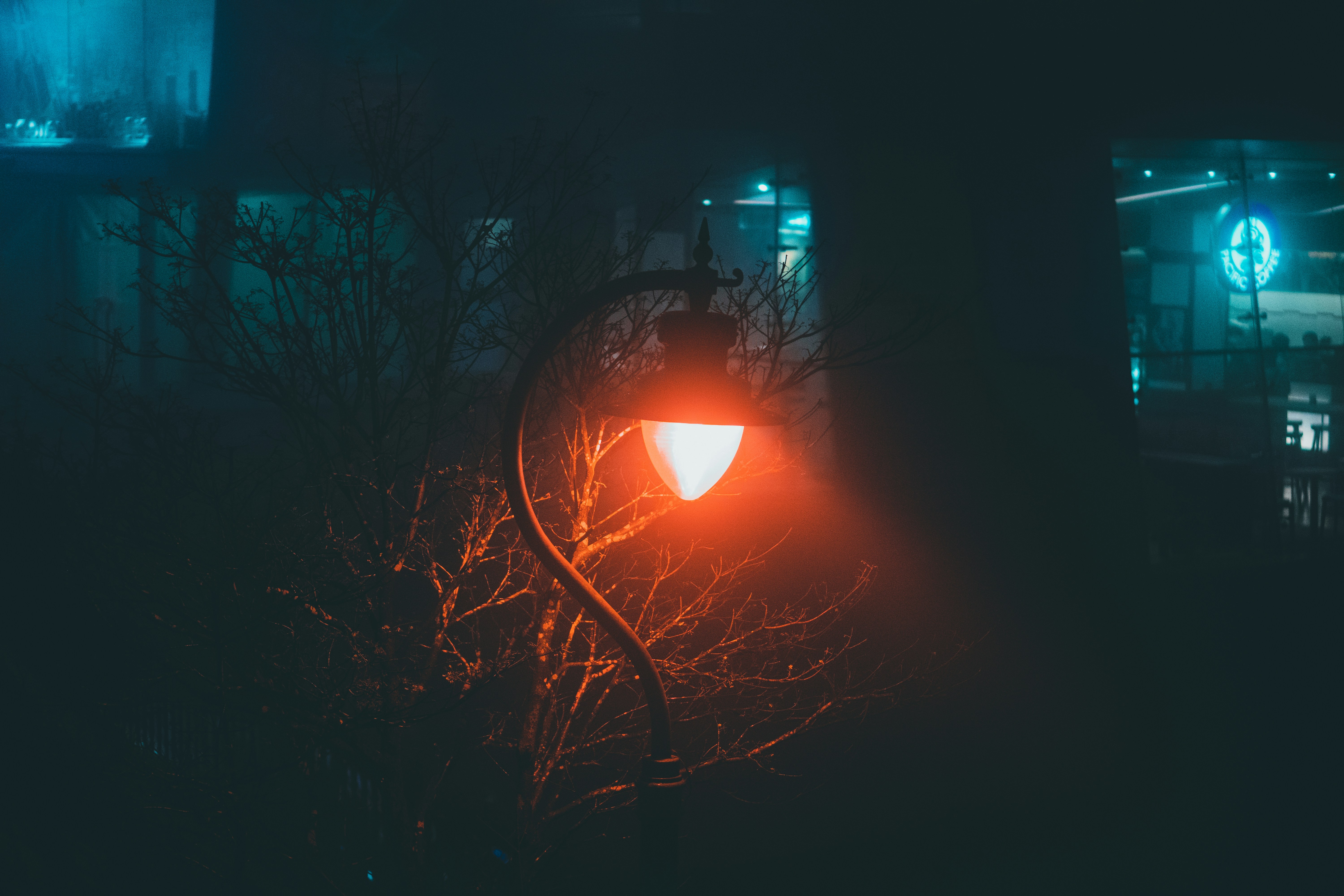 Photo by sushant_vohra