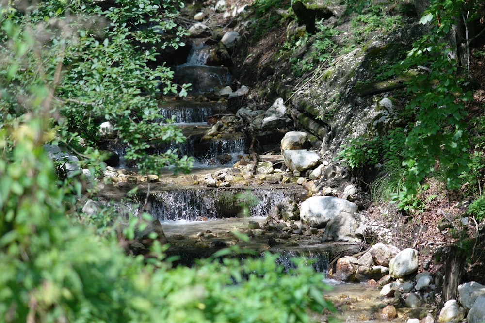 waterfall during daytime close-up photography