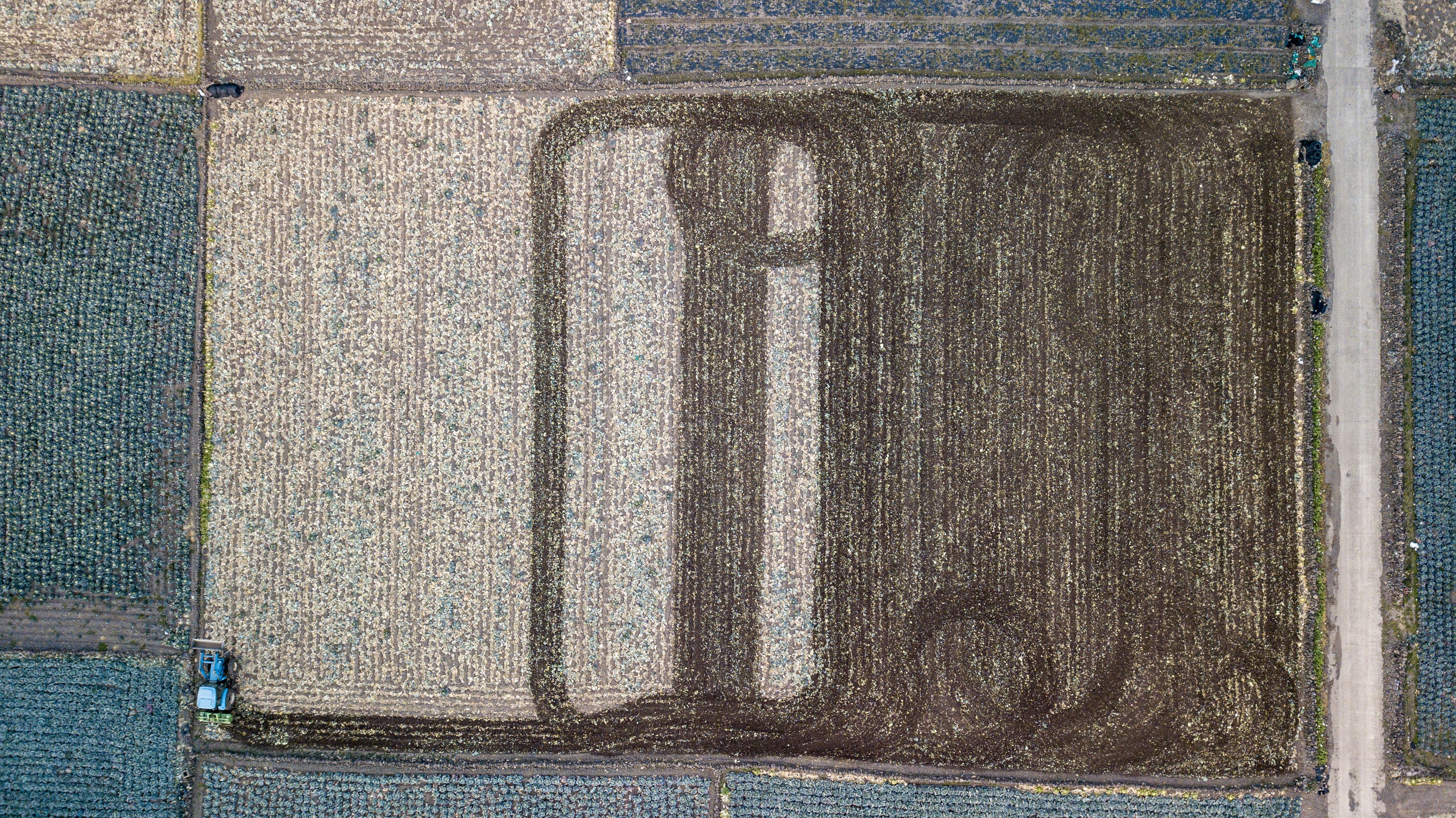 Aerial view of grass patch