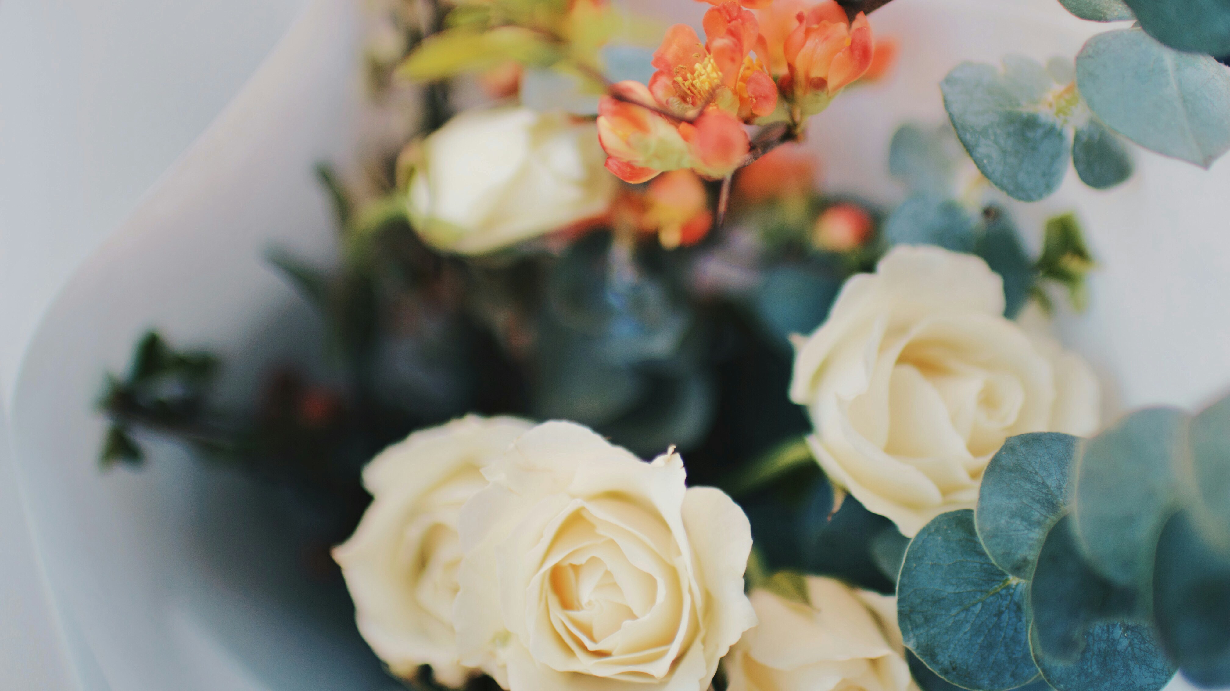 Photo by brianna_santellan