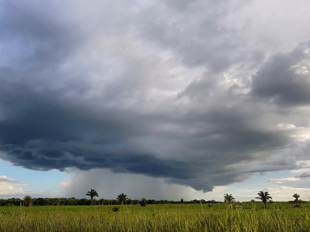 nubes grises y blancas