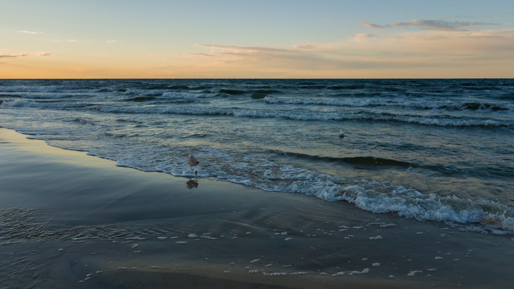 beach during daytime