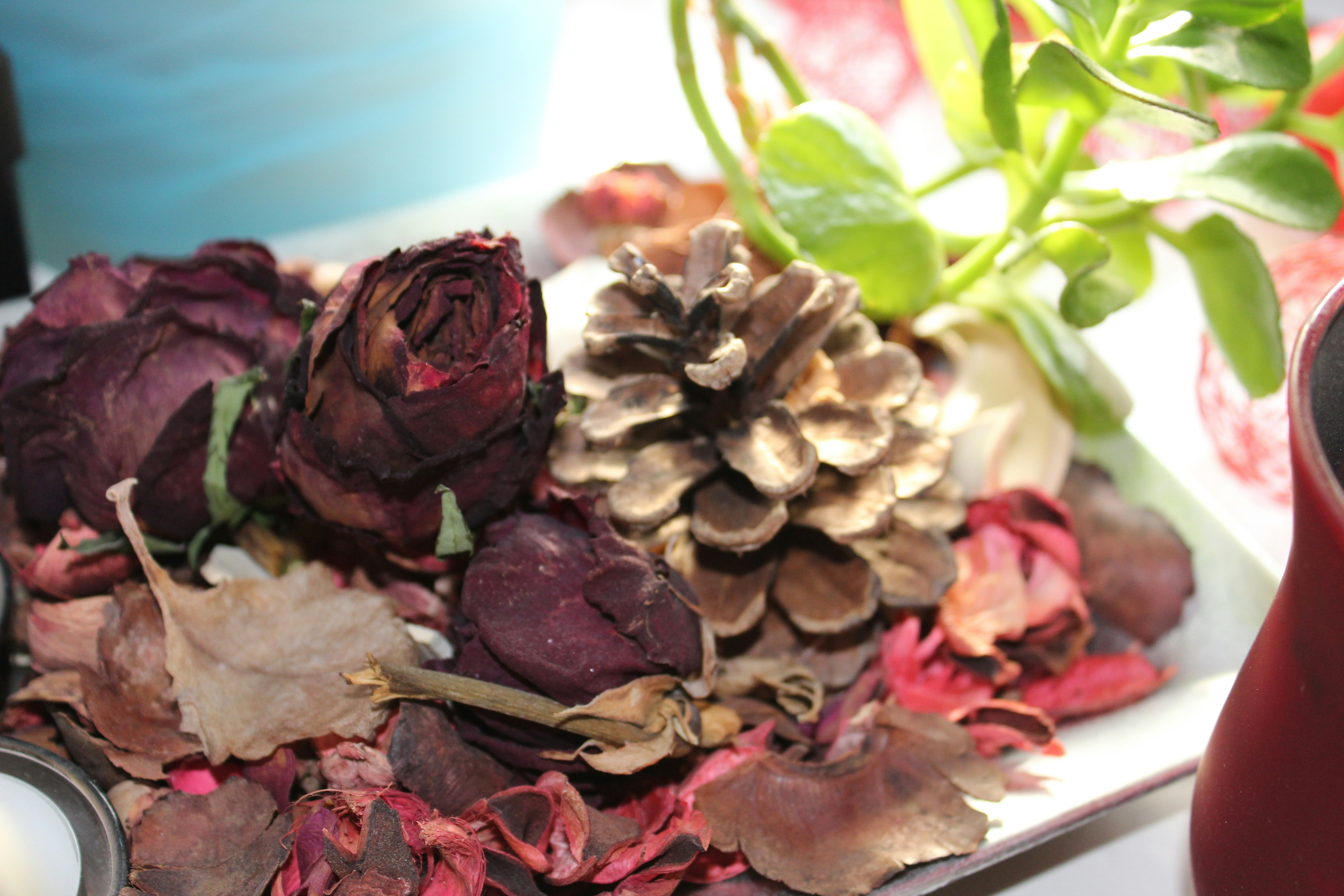 Photo by popedaniela94