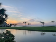 body of water near trees
