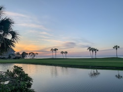 body of water near trees