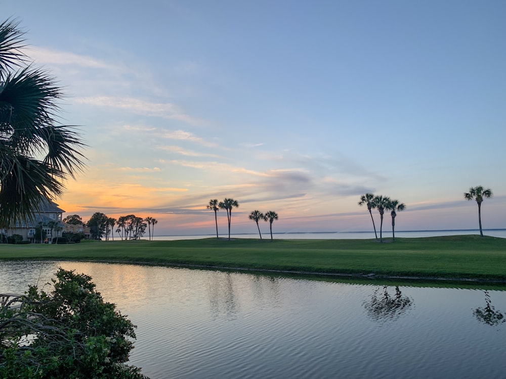 body of water near trees