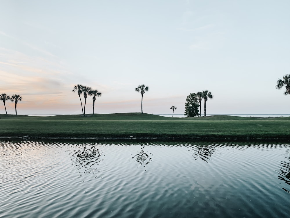 body of water near trees