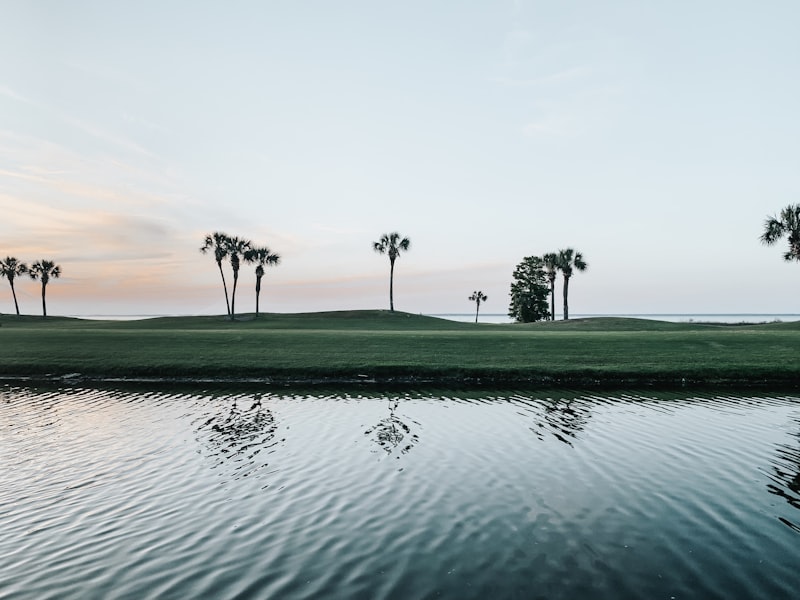 Florida golf course with palm trees and water