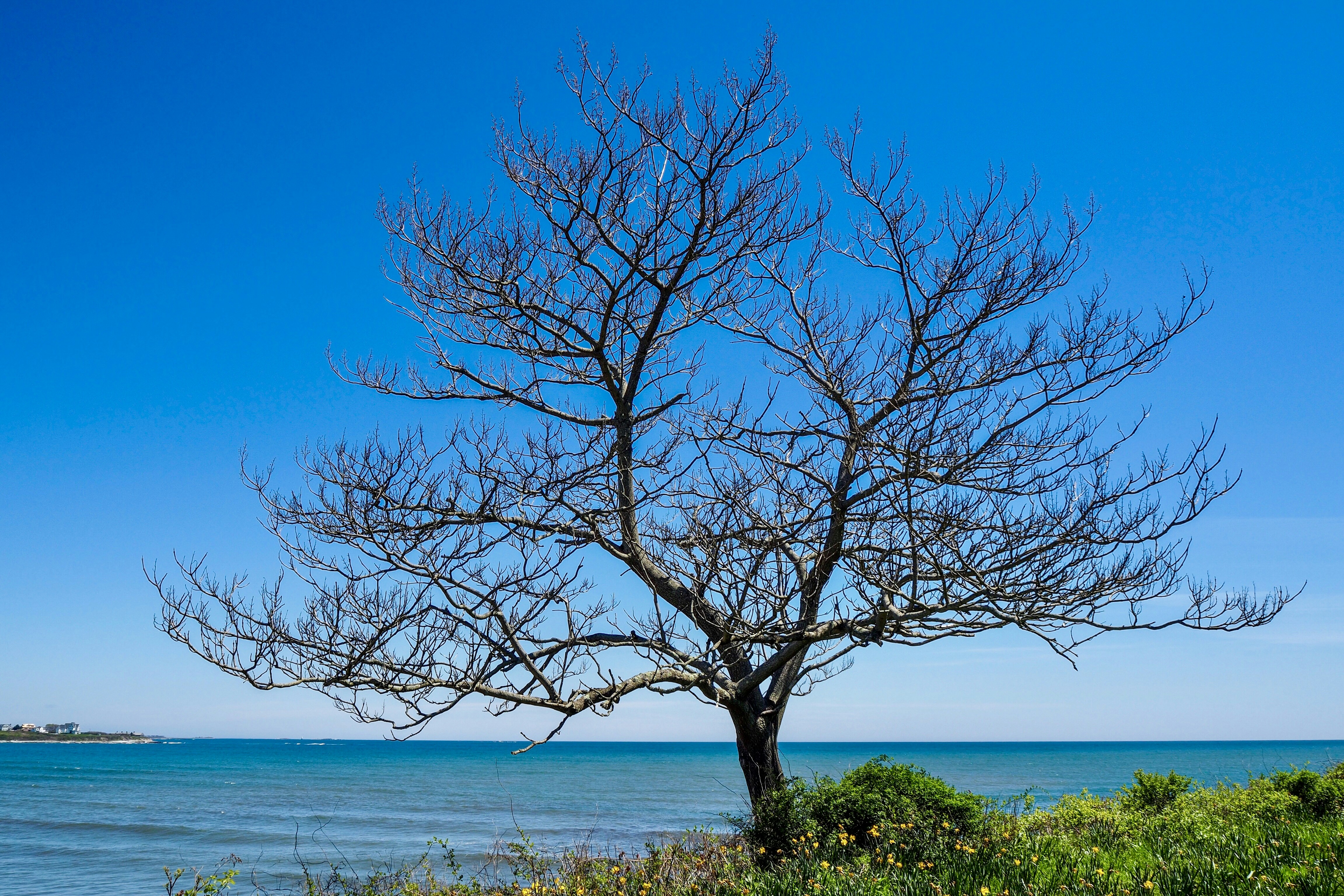 Photo by rahul_a0309