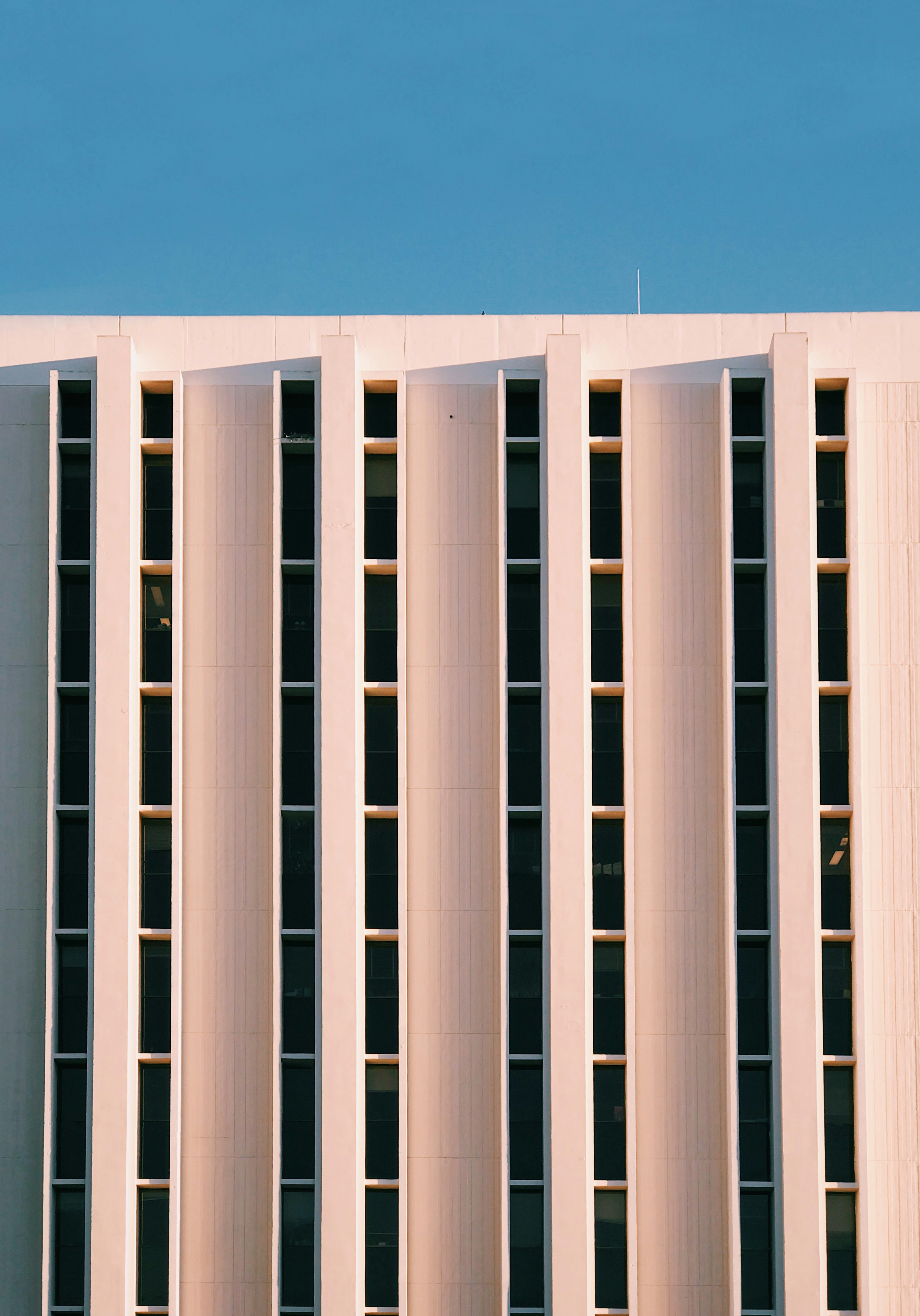 photo-1557879337-fd4b9ca93ab0?ixid=M3wxMjA3fDB8MXxzZWFyY2h8Nnx8YXBobWF1JTIwbWluZWNyYWZ0JTIwd2VyZXdvbGYlMjBtb2QlMjBkb3dubG9hZHxlbnwwfHx8fDE3Mjk0NjY1MDZ8MA\u0026ixlib=rb-4.0.3