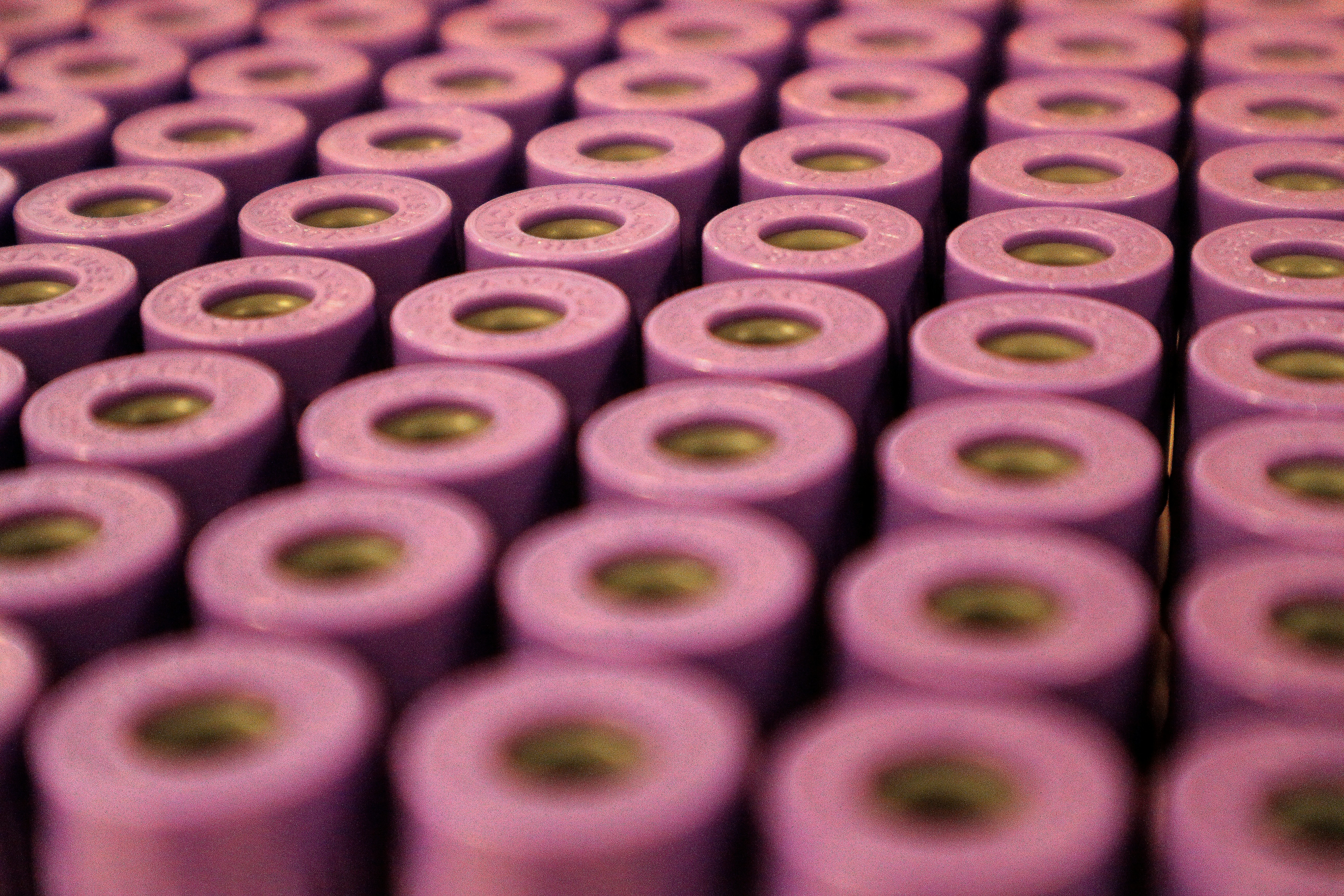 Close-up of medical lab equipment and blood test tubes in bright clinical laboratory setting, white and blue tones