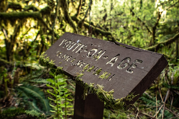 Washington Slagbaai National Park