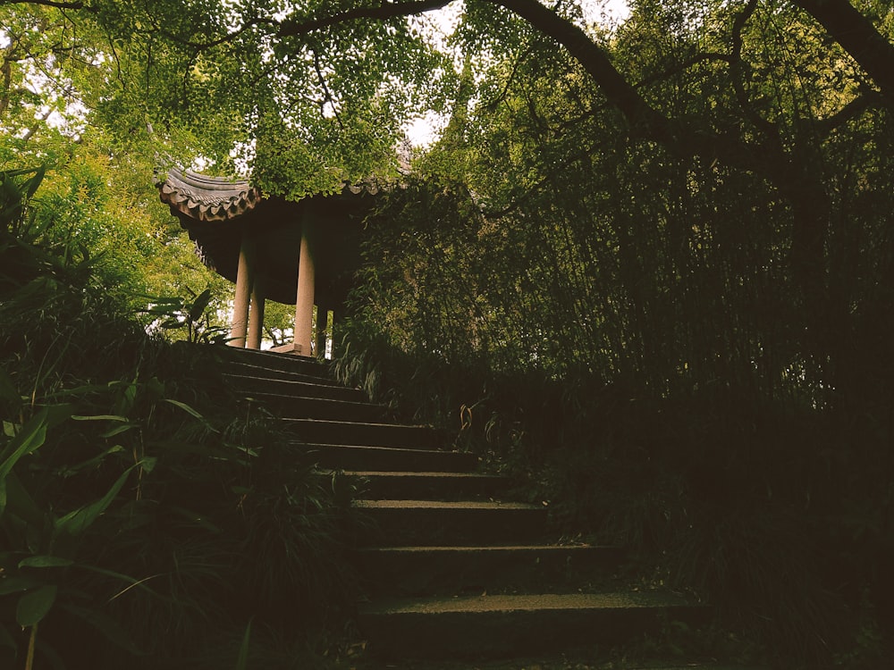 gazebo on top of the stairs near trees