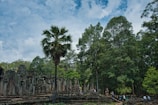 Travelers exploring ancient ruins surrounded by lush greenery.