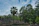 Ancient stone ruins with intricate carvings are surrounded by lush green trees. A tall palm tree stands prominently to the left, and a group of people are exploring the ruins, adding a sense of activity to the scene. The sky above is partially cloudy with patches of blue visible.
