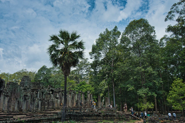 A group of archaeologists carefully excavating an ancient site in Ecuador surrounded by lush greenery.
