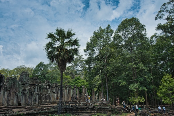 Ancient stone ruins with intricate carvings are surrounded by lush green trees. A tall palm tree stands prominently to the left, and a group of people are exploring the ruins, adding a sense of activity to the scene. The sky above is partially cloudy with patches of blue visible.