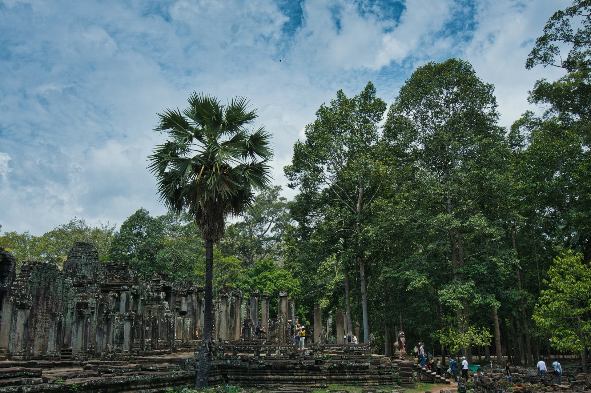 A family exploring ancient ruins surrounded by lush greenery, highlighting Mexico's rich cultural heritage.
