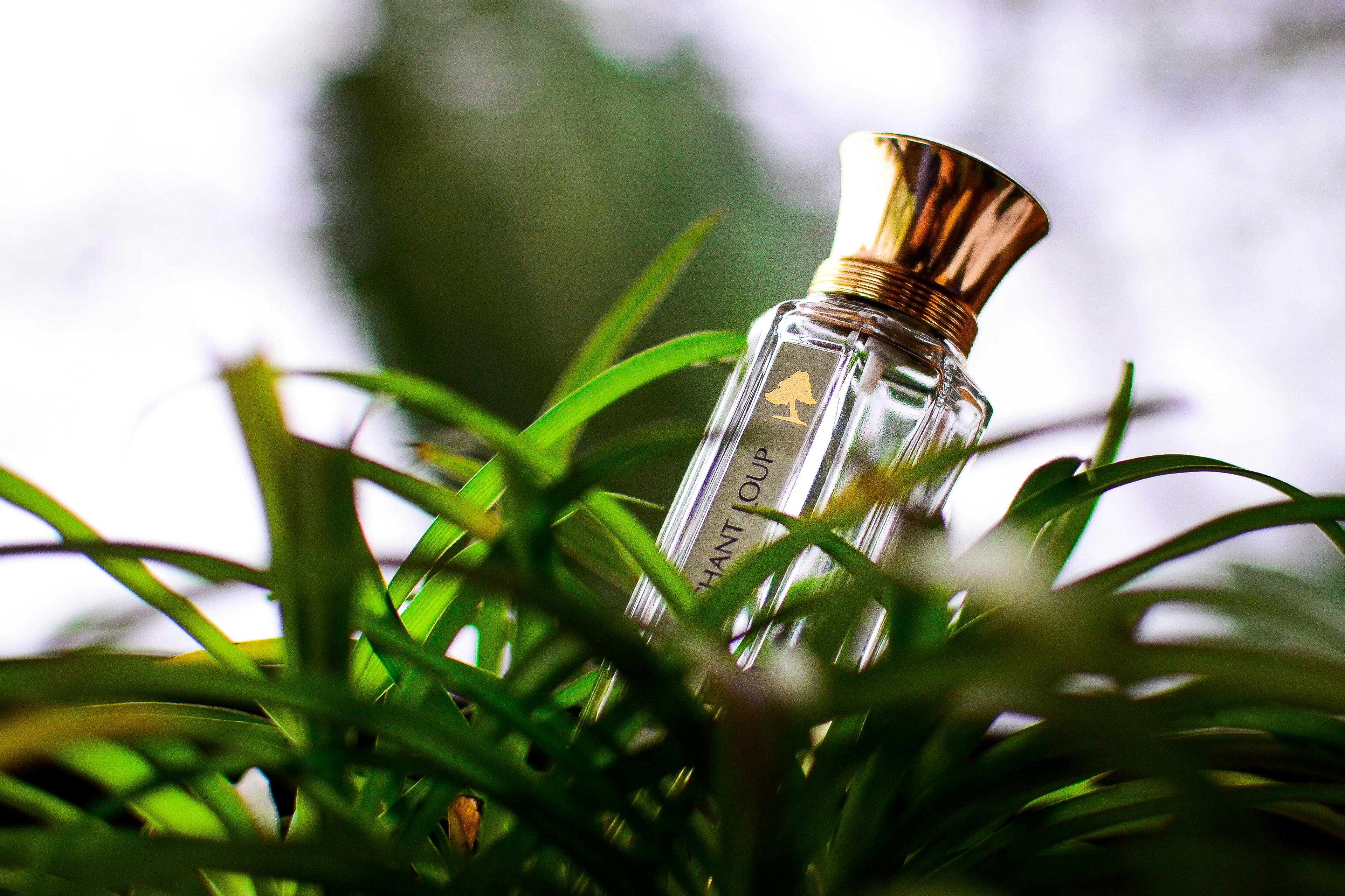 Elegant Fragrance Collection