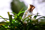 Close-up of a floral perfume spray releasing mist in natural light